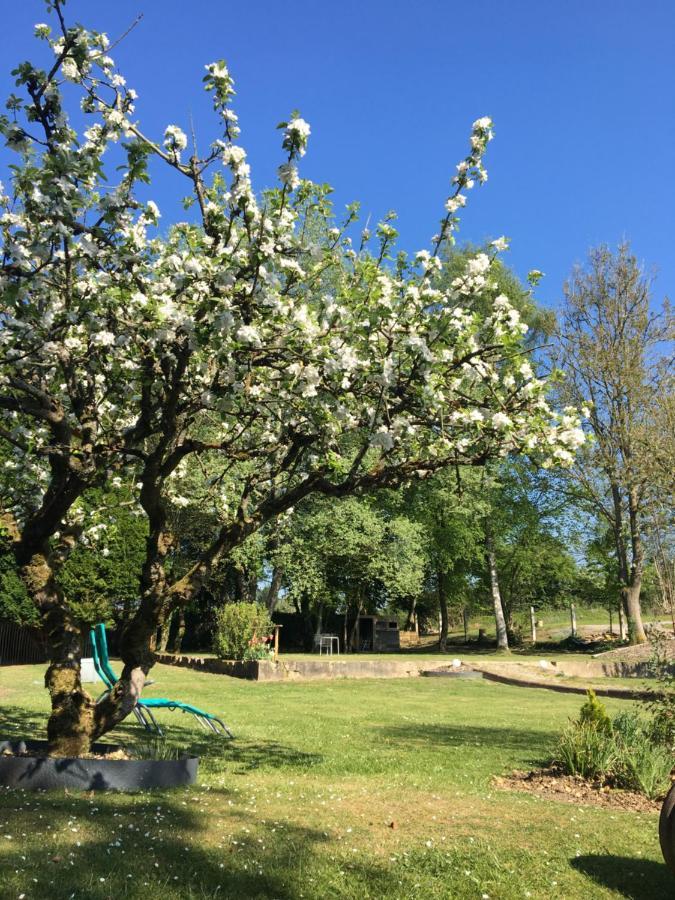 Hucqueliers Le Clos מראה חיצוני תמונה